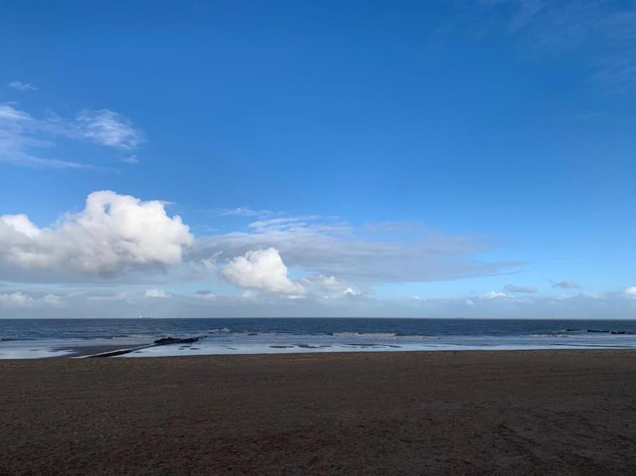 Top Studio Knokke Bij Zeedijk! Exteriör bild