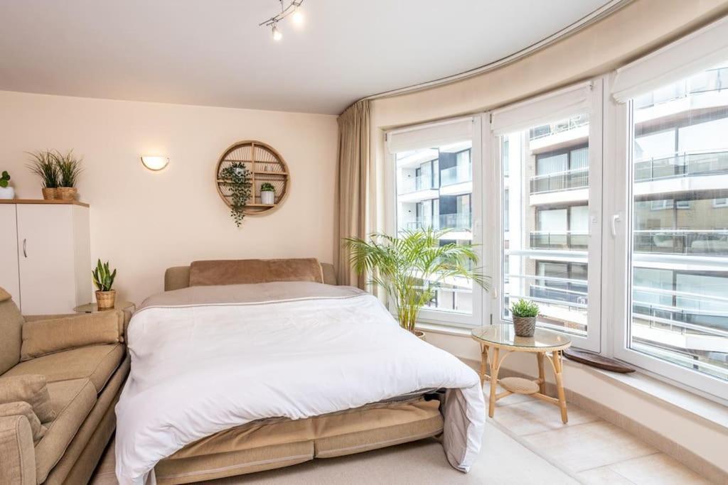 Top Studio Knokke Bij Zeedijk! Exteriör bild